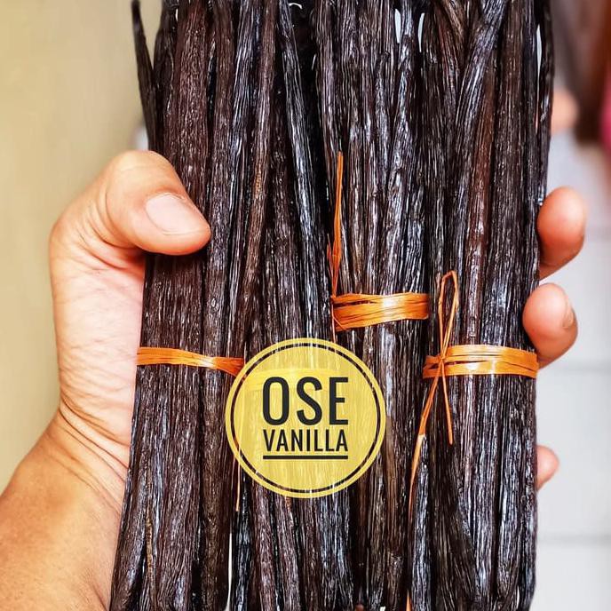 

Planifolia Bean or Vanilli or Vanilla TERJAMIN Kode 575