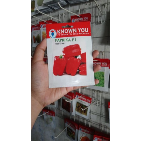 Benih Paprika RED STAR F1