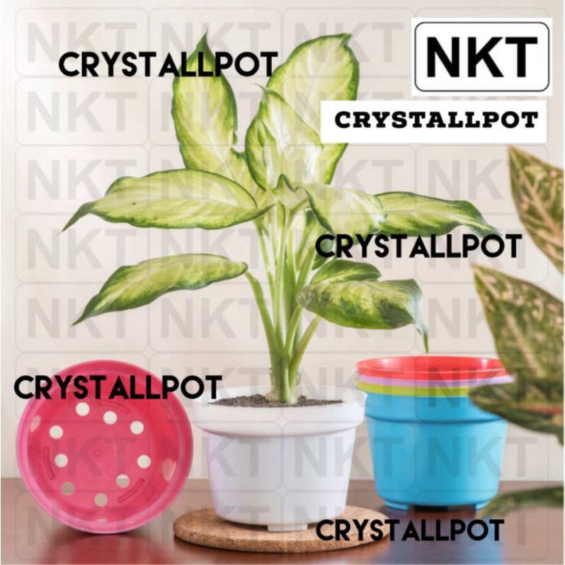 pot bunga tanaman nkt polos 10 warna warni - NKT POLOS(fullcolour)