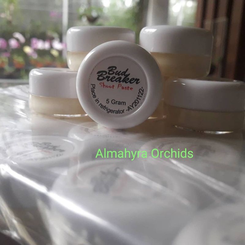 Bud Breaker Penumbuh Tunas Anggrek 5 gr/SALEP SALEP nutrisi penumbuh tunas keiki/SALEP anggrek segal