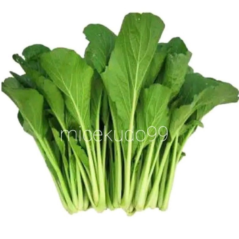 

SAWI HIJAU 1KG SEGAR / SAYUR CAISIM / MUSTARD GREENS FRESH CAI SIM