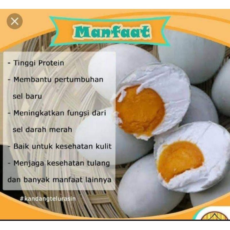 

telur asin omega isi 10pcs