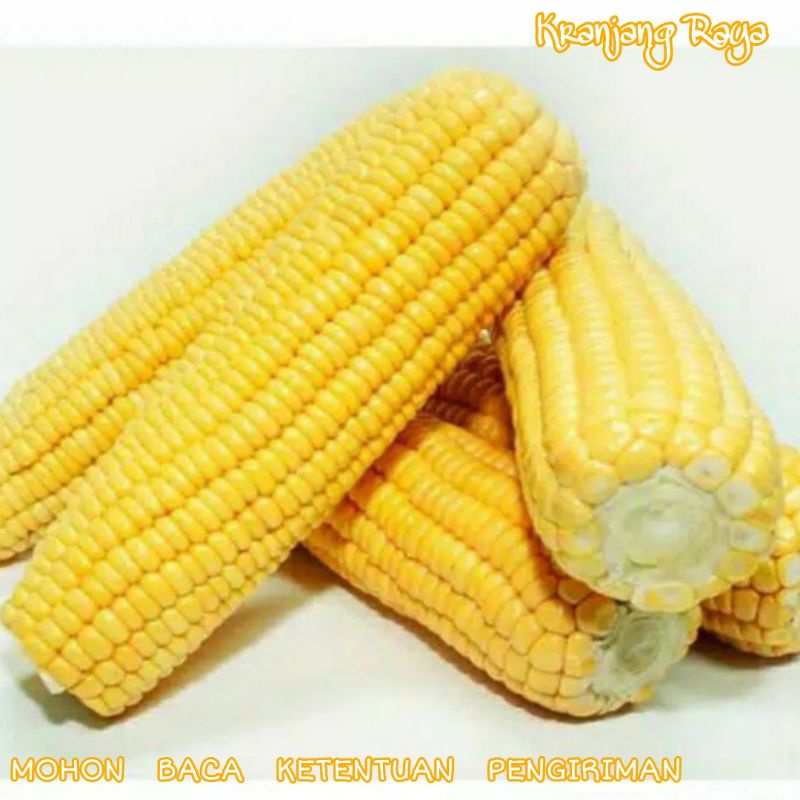 jagung manis kupas / jagung manis kulit