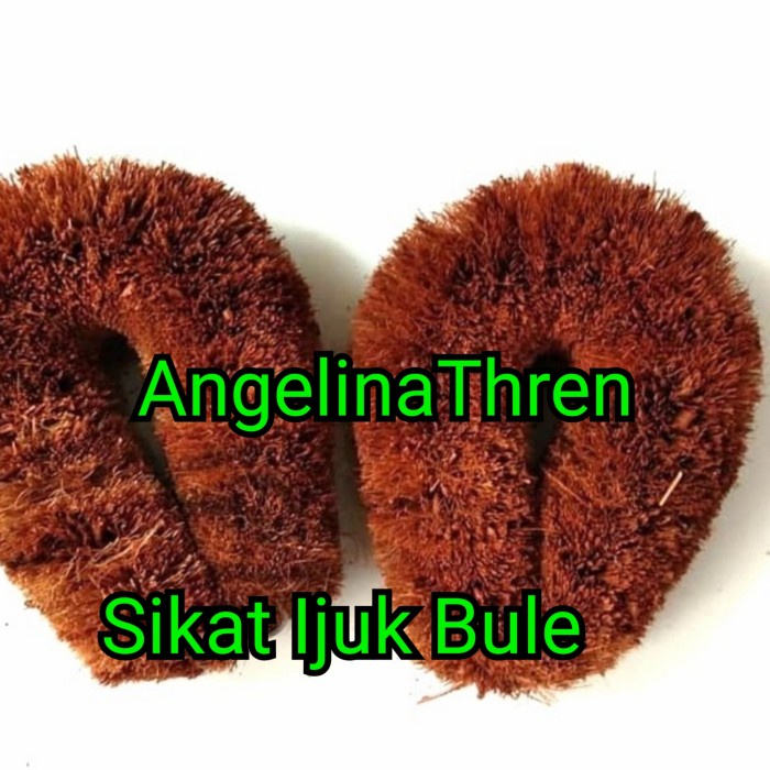 Sikat Ijuk Coklat - Sikat Kodok Ijuk Coklat - Sikat Kawat Ijuk Lantai