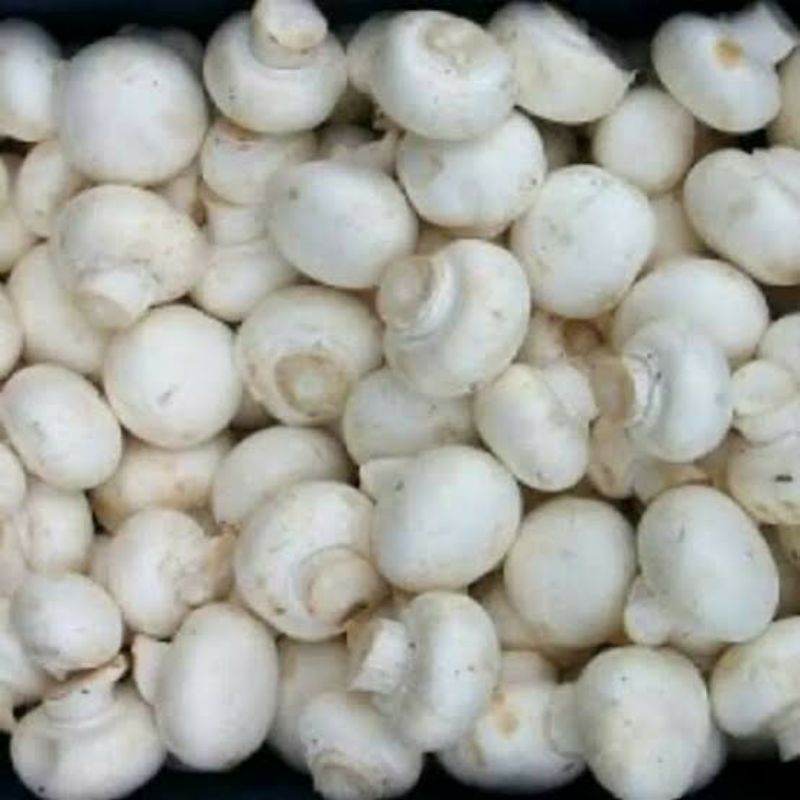 

Jamur Champignon 250 gram