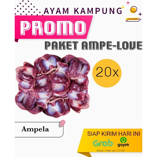 

PROMO 20pcs Ampela Ayam Kampung Fresh "Paket Ampe-Love" khusus Bandung
