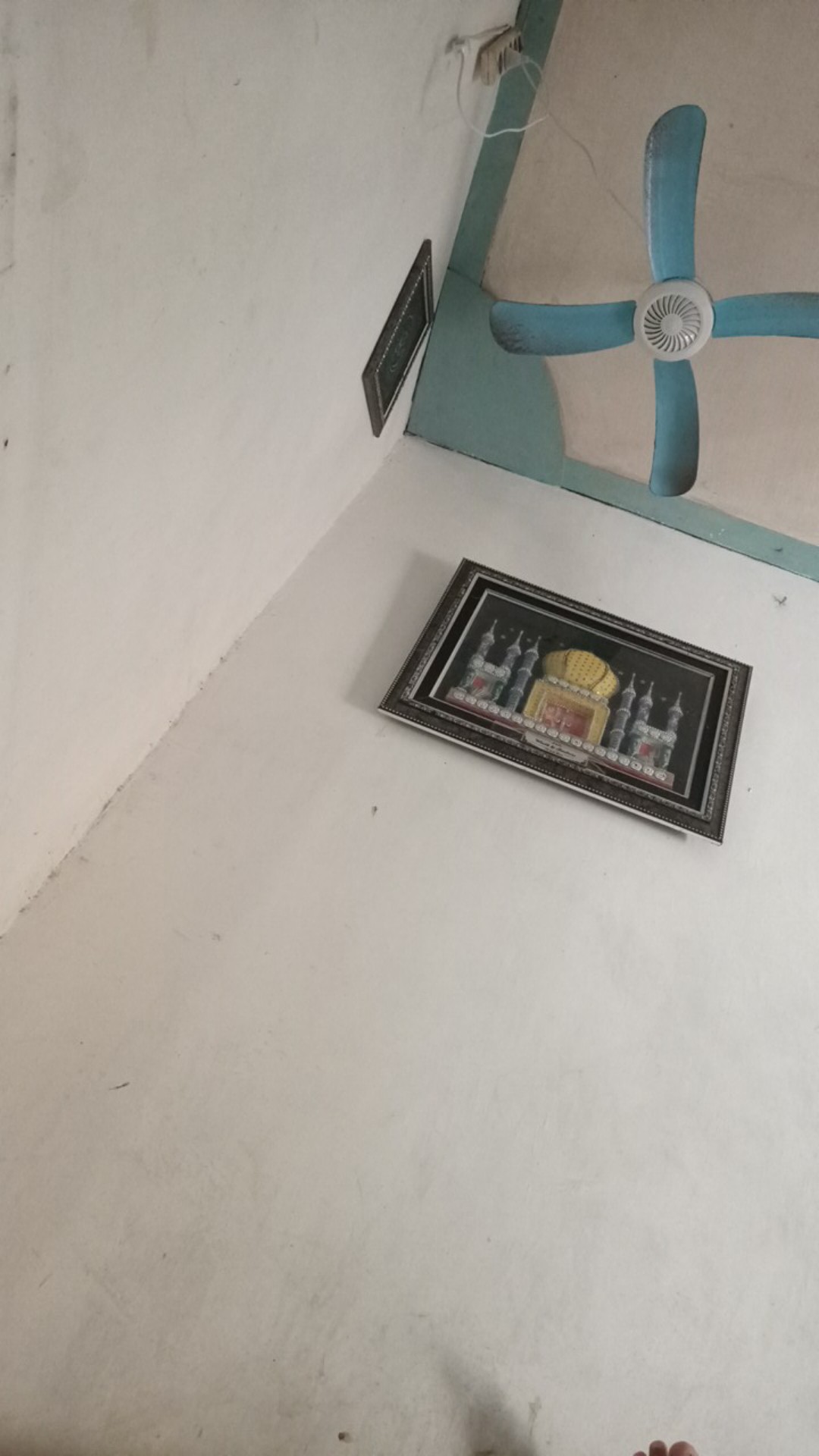 Tissue See-u Green Value