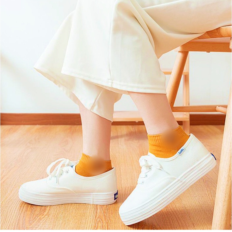 Kaos Kaki Beruang Fashion Unisex Motif Wanita Pria Murah Kaus Semata Ankle Socks