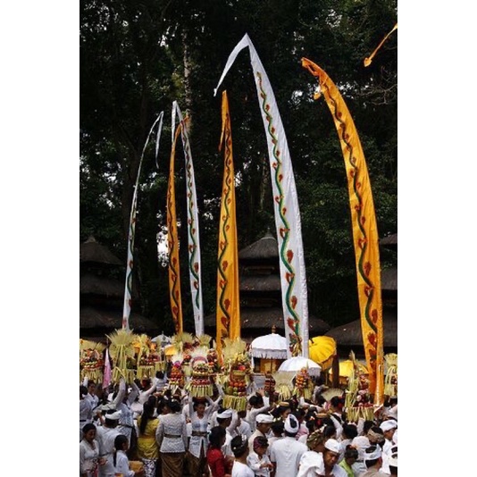 Umbul Umbul Motif Naga / Bendera Gambar Sablon 4, 5, 6, 7 Meter Khas Bali