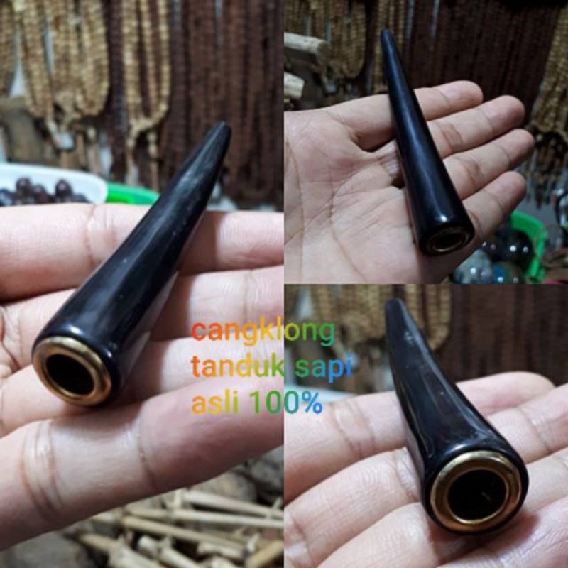 CANGKLONG TANDUK SAPI