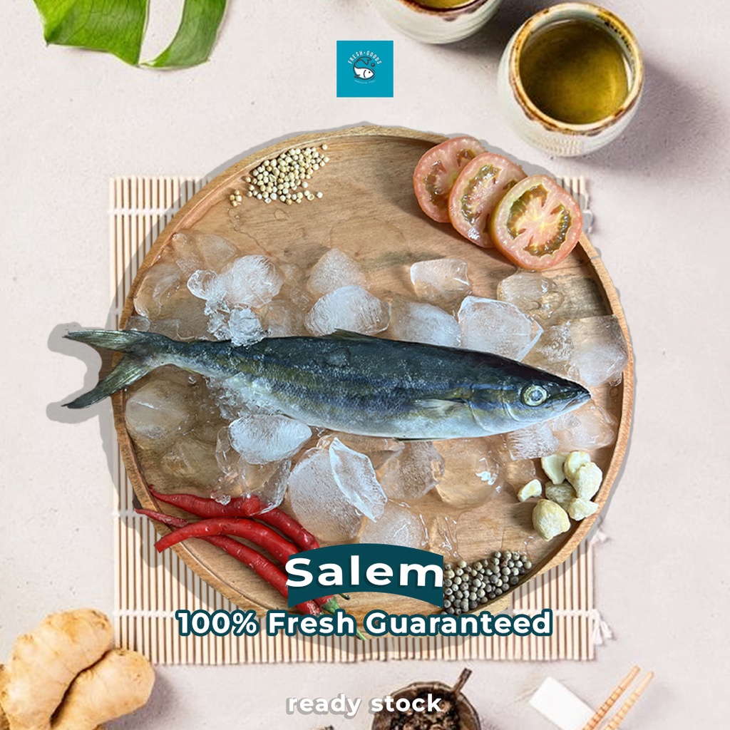 

Ikan Salem Laut Segar Dijamin SEGAR dan BERKUALITAS By FreshGoods