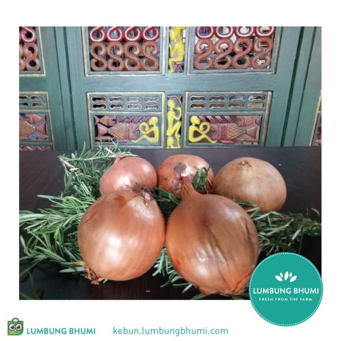 

BEST DEAL BAWANG BOMBAY / BOMBAI GOCENG ( SAYUR - SAYURAN CURAH ) !!!