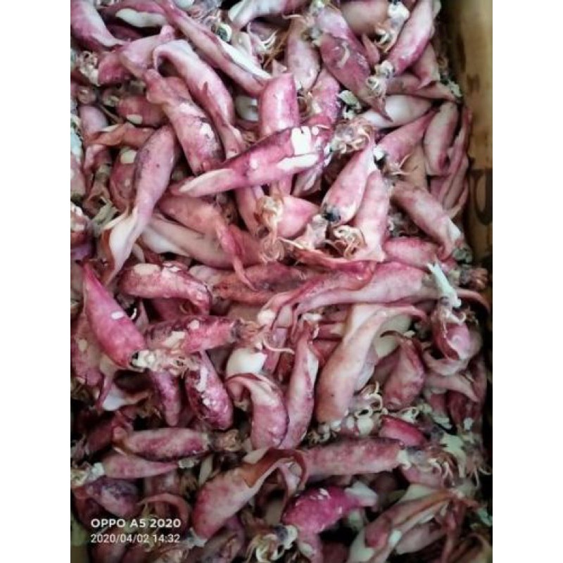 

cumi asin 1 kg