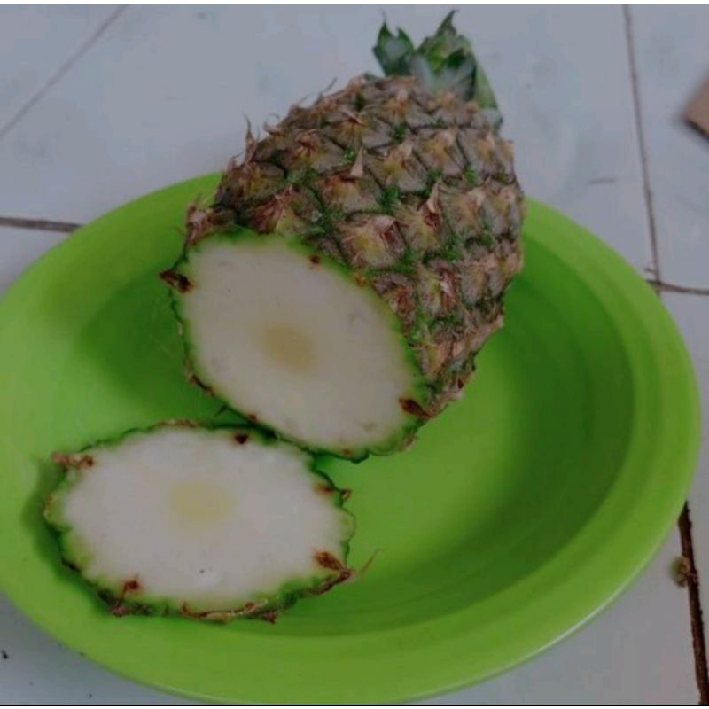 

nanas muda segar