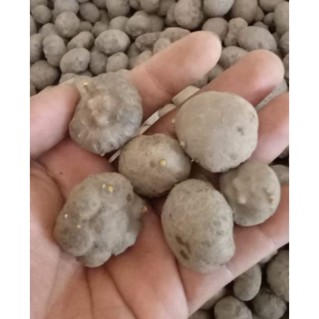 Katak PORANG Superan 1Kg