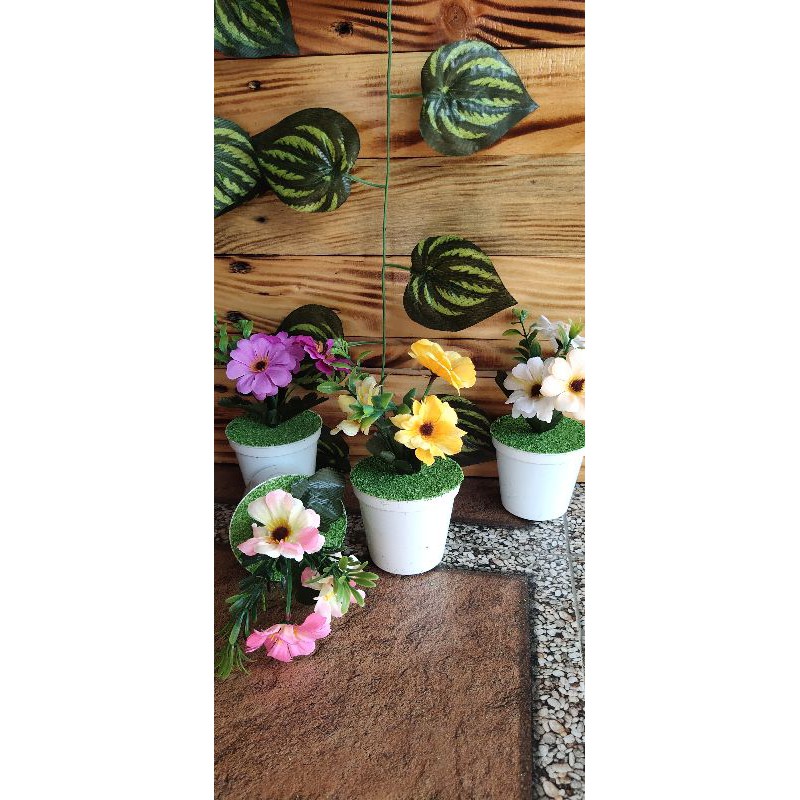 

bungahias 10 rb