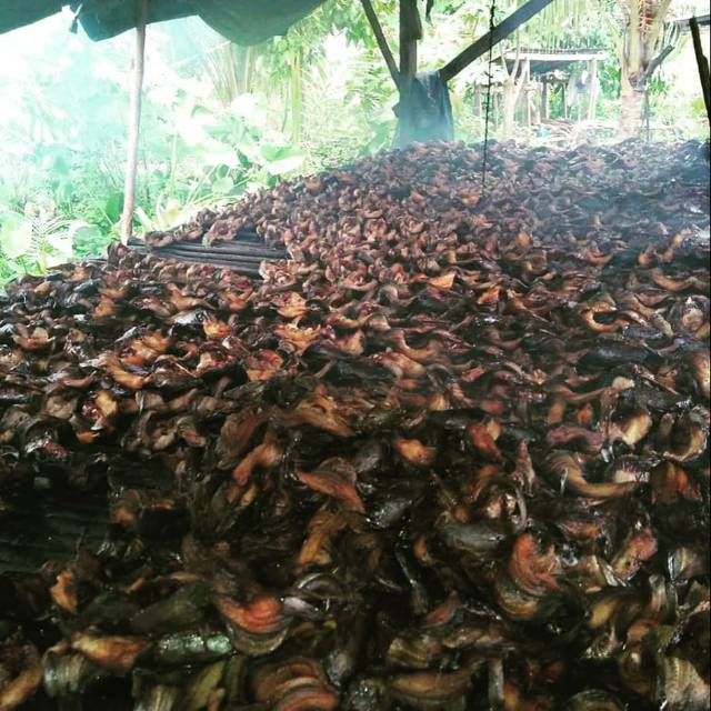 

Lele asap / lele salai minang 250/500 gr