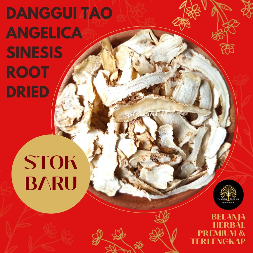 

500 gram Premium Danggui Tao Angelica Sinesis Chinese Angelica Root Fresh Original