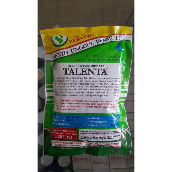 BENIH BIBIT JAGUNG MANIS TALENTA