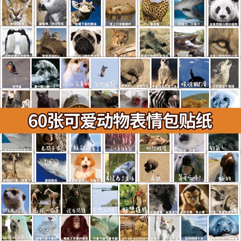60 buah non-mengulangi dunia hewan stiker ekspresi wajah tas pasir ukiran lucu konotasi kotor lucu b