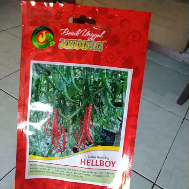 Bibit Cabe Keriting Hellboy Isi 5 Gram | Benih Cabe | Bibit Cabai Keriting | Bibit Unggul