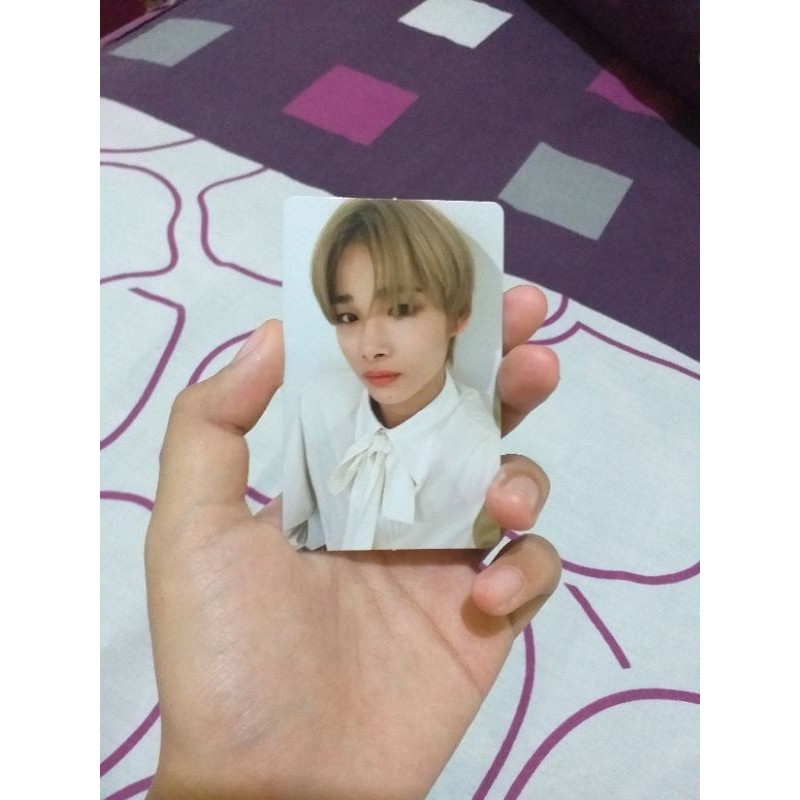 PC NIKI ENHYPEN DUSK VER.