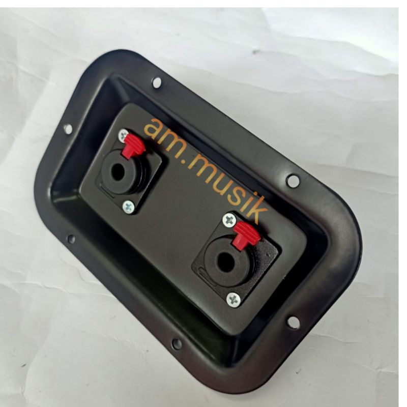 PANEL BOX SPEAKER SALON INPUT DAN OUTPUT 2 JACK AKAI