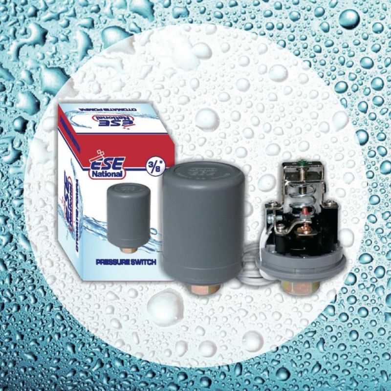 Otomatis Pompa air Single Platina (kotak) Korea National ESE