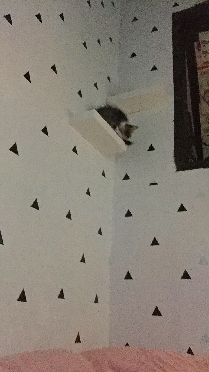 Set Rak Ambalan Dinding Minimalis 2 Pcs Uk. 30,30 Cm