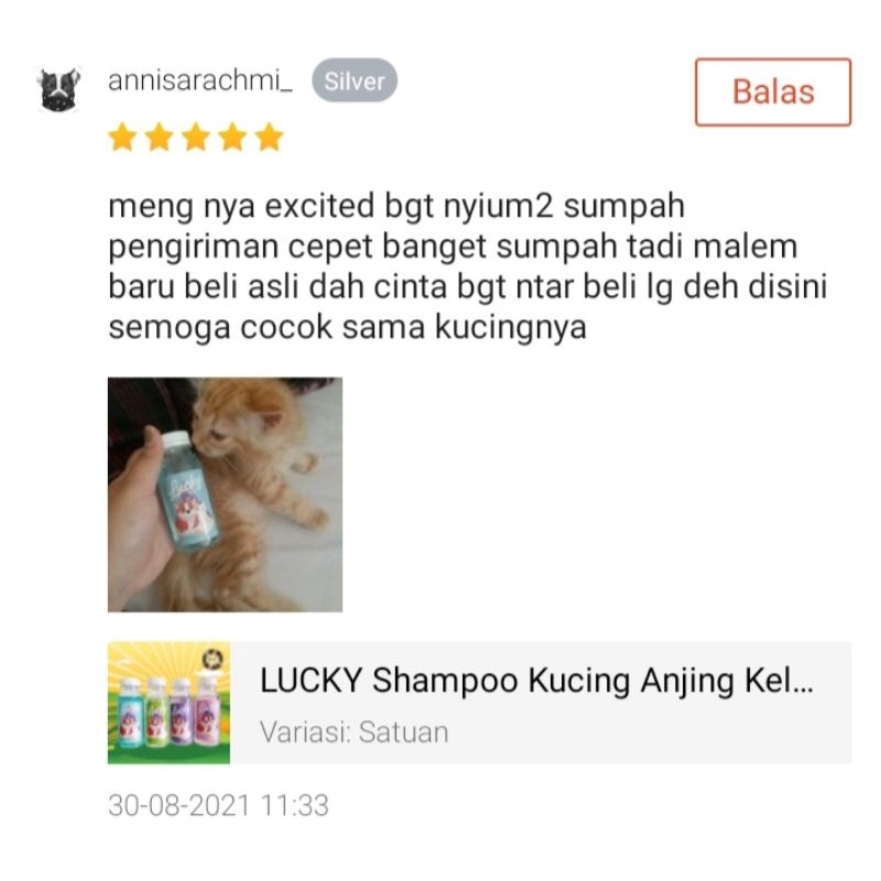 LUCKY 100 - Shampoo Kucing Anjing Kelinci ANTI KUTU &amp; JAMUR MURAH Kental Wangi 100 ml