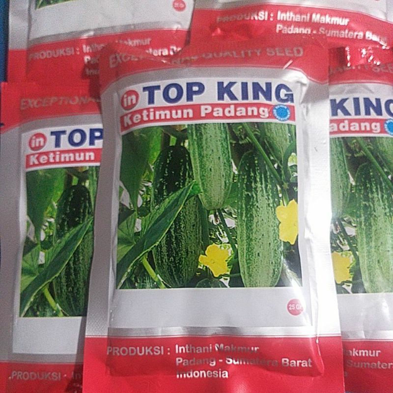 Benih Ketimun Padang TOP KING 25 gr