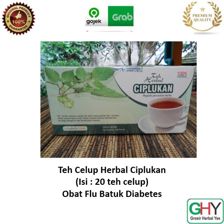 

Teh Celup Ciplukan Teh Herbal Ciplukan Obat Diabetes Flu Batuk