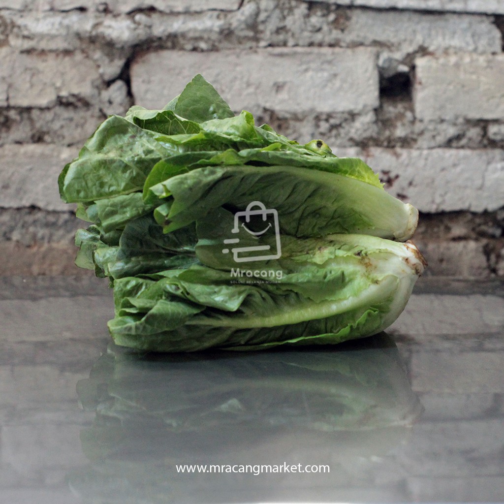 ROMAINE - BERAT 250gram