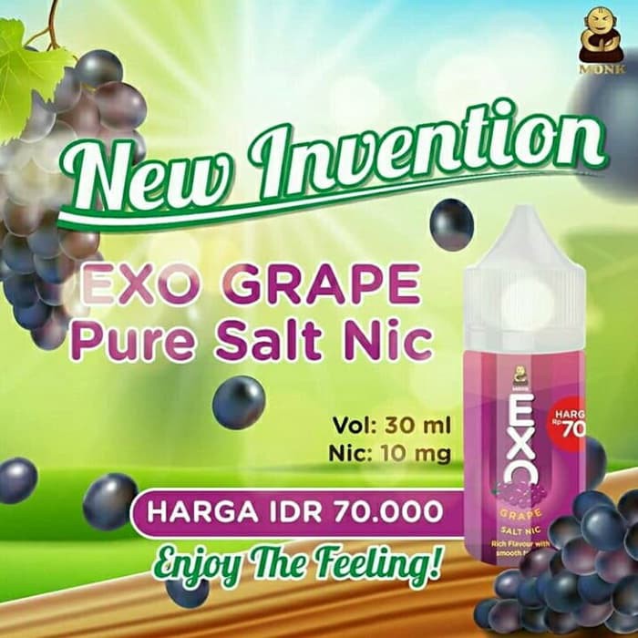 exo salt nic saltnic 30ml 10mg by monk