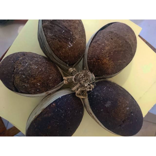 

Gula Aren Batok Khas Lebak Banten/1 Kojor/ Isi 5 Hulu - 10 Batok