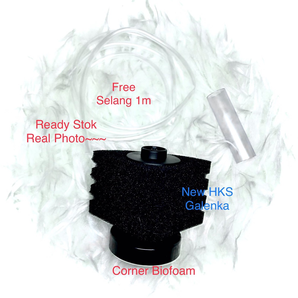 Single corner sponge filter biofoam segitiga filtrasi sudut aquarium saringan kotoran ikan bio foam 
