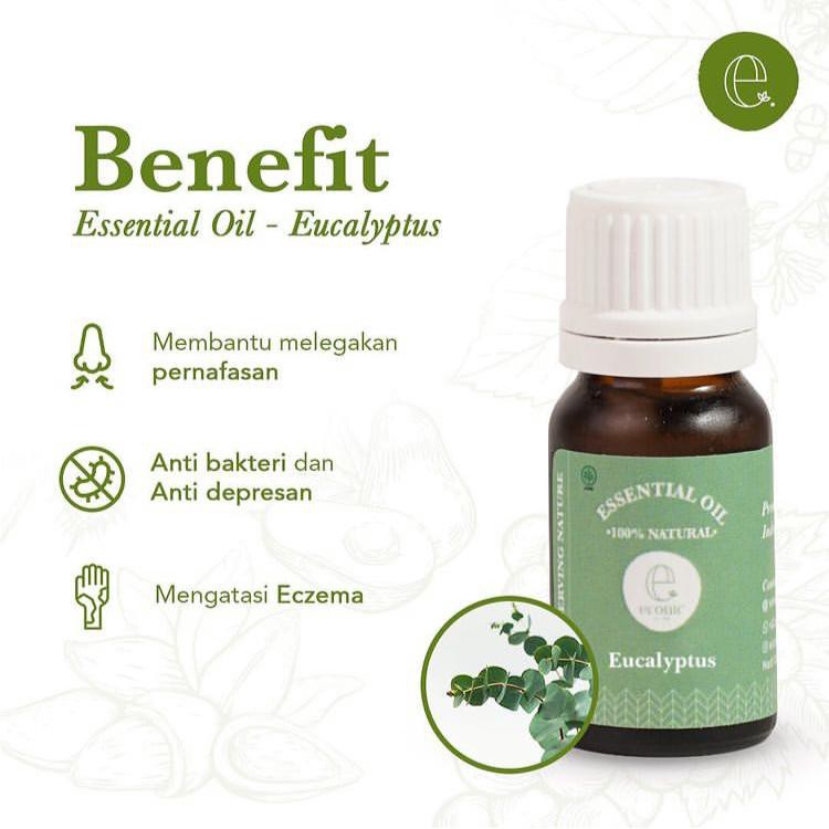Eucalyptus Essential Oil | Aromaterapi Relaksasi &amp; Pernafasan Lega | Essential Oil Diffuser &amp; Oles
