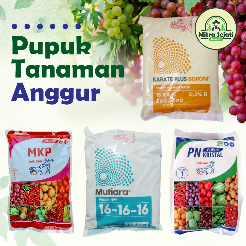 Paket Pupuk Tanaman Anggur 900 gram Merangsang Buah Atasi Kerontokan Bunga Calon Buah dan Berbuah Le
