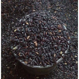 

KETAN-BERAS- BERAS KETAN HITAM 1 KG -BERAS-KETAN.