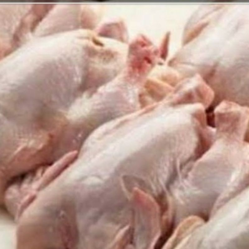 

Ayam broiler Utuh uk 0,9/ 1kg/ 2kg