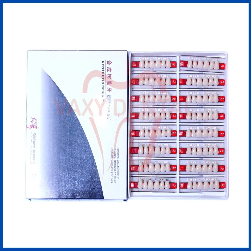 Gigi Caiyu Depan Atas 1 Box/Kotak/Dus Isi 16 Papan Gigi Palsu Merk Caiyu Yuying Cayu Anterior Upper