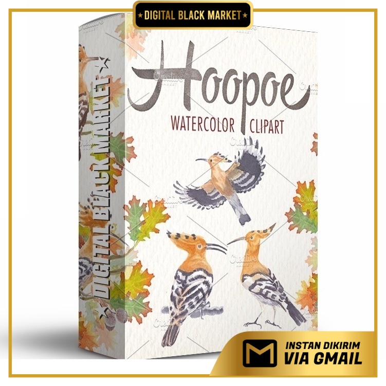 Watercolor Hoopoe Bird Clipart - Vector Designs