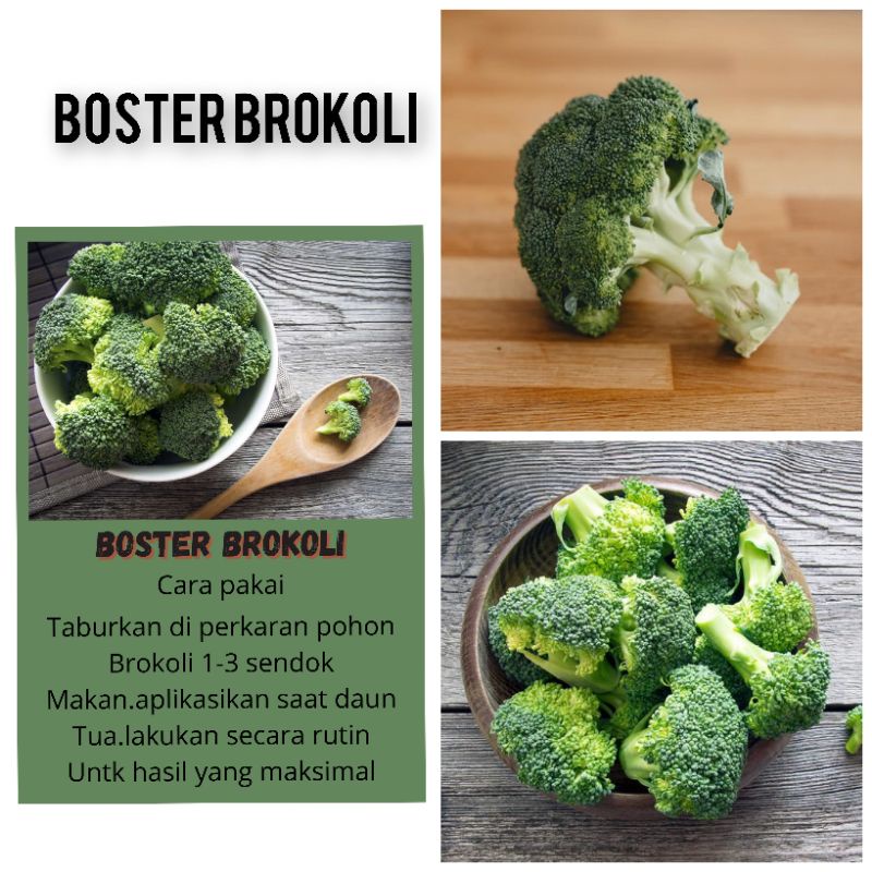 BOSTER BROKOLI BOOSTER BROKOLI PUPUK BROKOLI