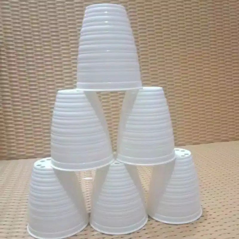 Pot Pirus Gucci Jet 101 Diameter 10 Cm