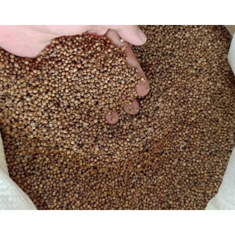 

Ketumbar Organik/ hitam