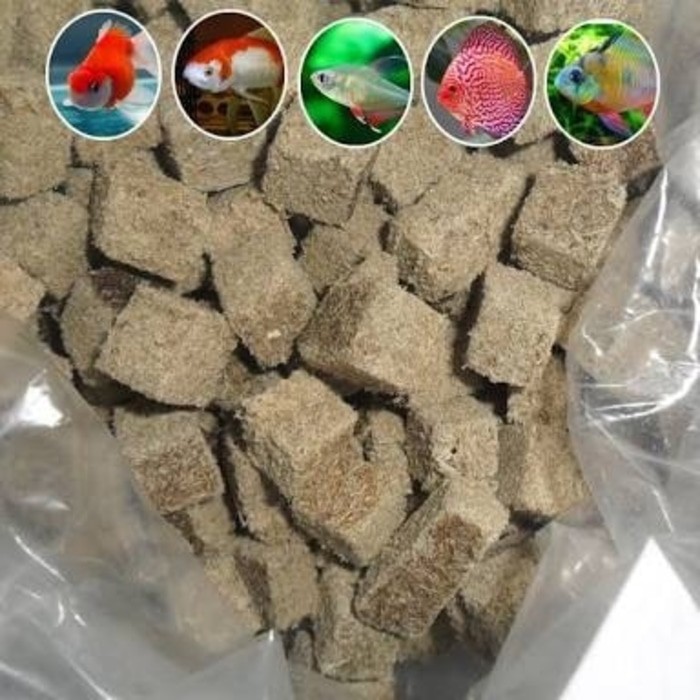 cacing kering pakan ikan cupang discus lohan koi discus gapi arwana