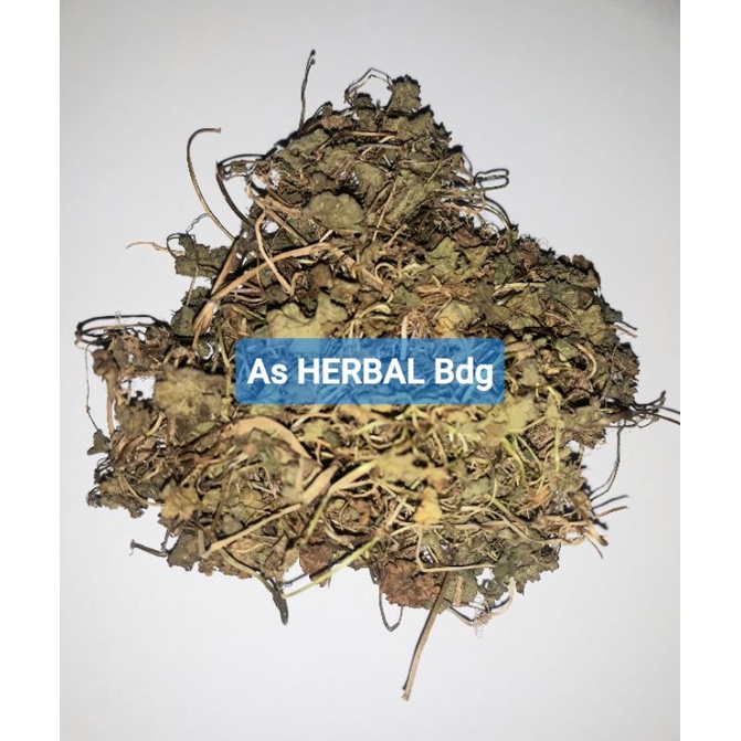 

Daun patikim atau semanggi gunung kering 100 gram-az