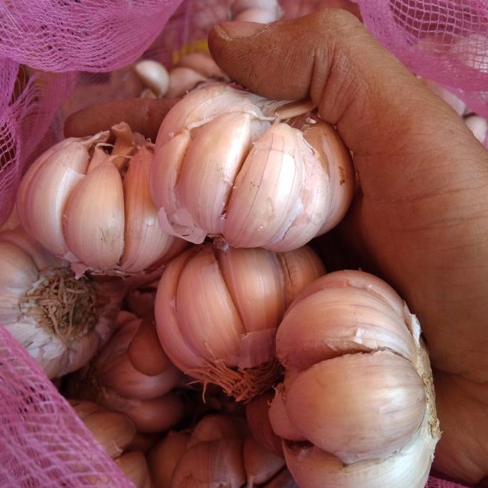 

[[COD]] bawang putih banci 1 kg SPECIAL Kode 732