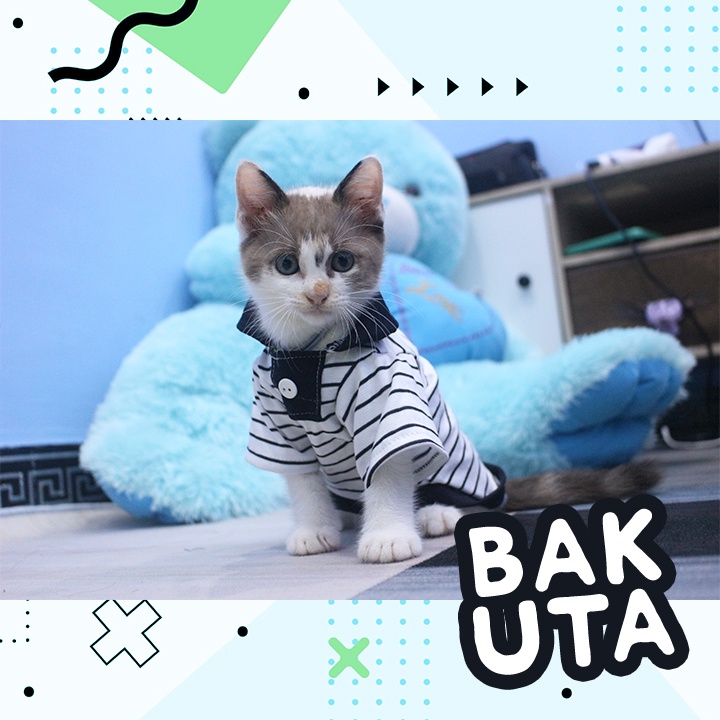 Kaos Lengan panjang polo No Motif #3404 / Baju Kucing tangerang murah / baju kucing lucu size S-XL