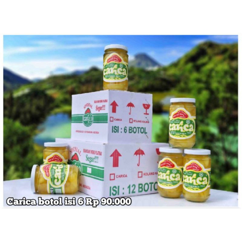 Jual Carica Dieng Asli Lereng Gunung Dieng Shopee Indonesia